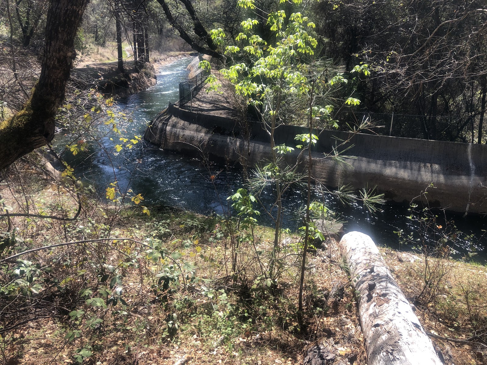 Bear River Canal trail in Meadow Vista